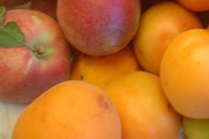 Image of pluot fruit